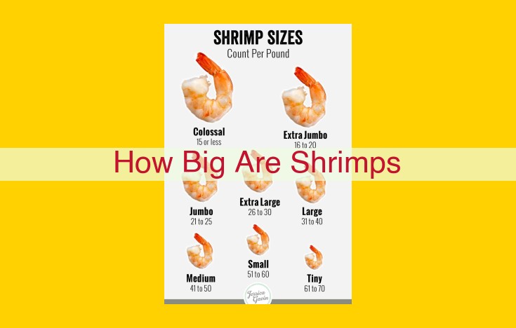 Shrimp Size: A Comprehensive Guide to Factors, Measurement, and Significance