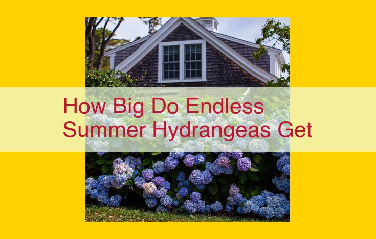 Endless Summer Hydrangeas: Size, Shape, and Bloom Variations