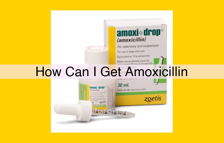 Obtain Amoxicillin Safely and Effectively: Consult with a Healthcare Professional