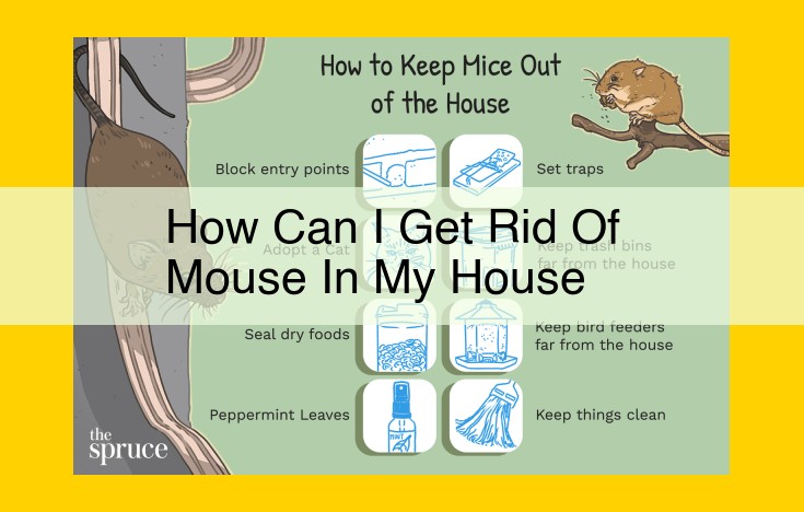 Comprehensive Guide to Eradicate Mice from Your Home: Sealing Entry Points, Eliminating Food Sources, and Using Deterrents