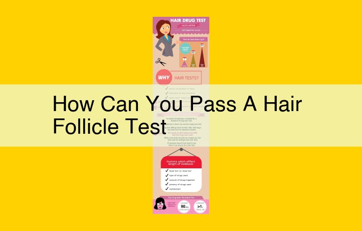 Explore Hair Follicle Testing: Key Players and Resources