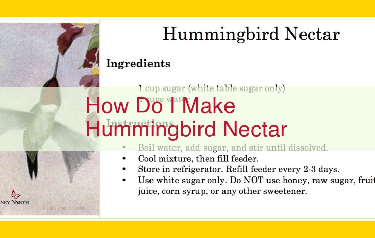 How to Make Hummingbird Nectar: A Complete Guide