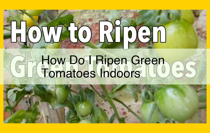 Best Methods for Ripening Green Tomatoes Indoors: Ethylene & Sunlight