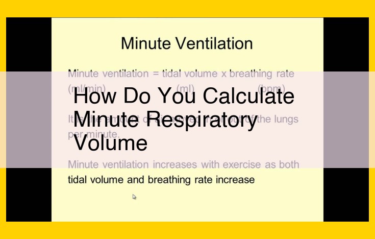 Understanding Minute Respiratory Volume: Assessing Lung Function and Gas Exchange