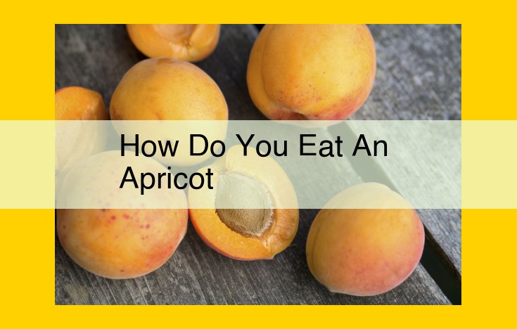 Indulge in the Delicacies of the Apricot: A Guide to Savoring Its Sweetness