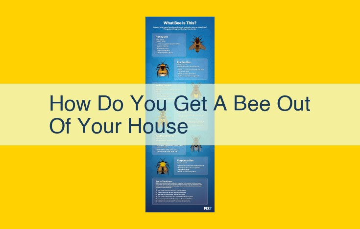 How to Safely and Effectively Remove Bees from Your Home: A Comprehensive Guide