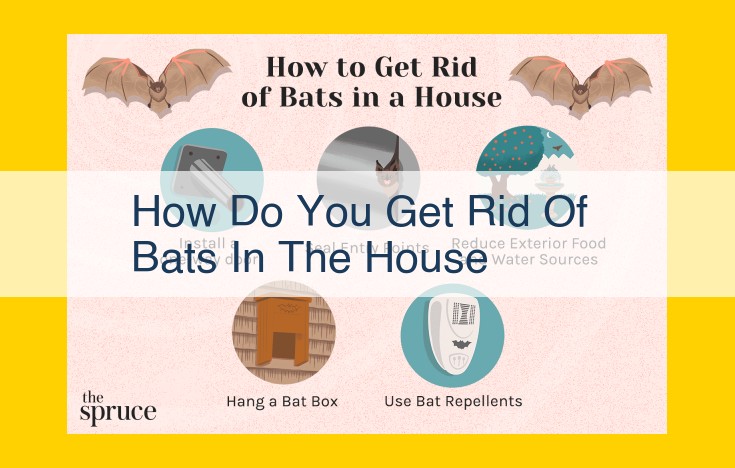 Eliminate Bats Safely and Responsibly: Guide to Professional Bat Control