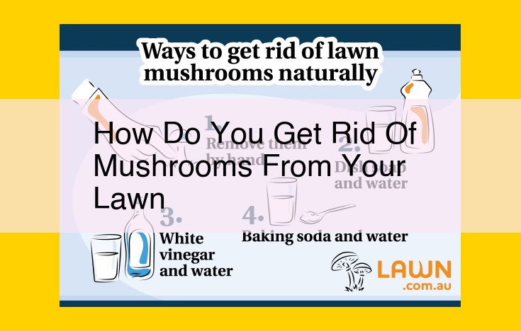 Eliminate Mushrooms in Lawns: Improve Drainage, Reduce Watering, and Apply Fungicides