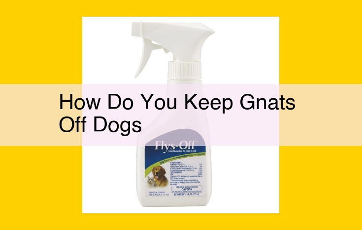 4 Effective Methods for Keeping Gnats Away from Your Dog