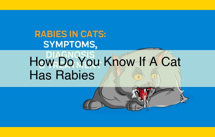 Rabies in Cats: Symptoms, Diagnosis, and Prevention