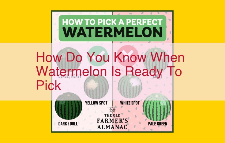 Essential Guide to Identifying, Selecting, and Enjoying Ripe Watermelons: Unlocking Their Sweetness