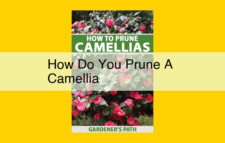 Professional Camellia Pruning: A Comprehensive Guide to Enhancing Beauty and Health