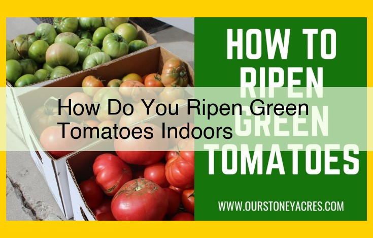 Ultimate Guide to Ripening Green Tomatoes Indoors: Step-by-Step Instructions and Expert Tips