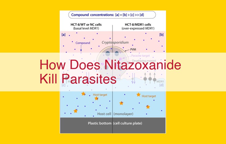 Nitazoxanide: The Versatile Antiparasitic Agent for Treating a Range of Parasitic Infections