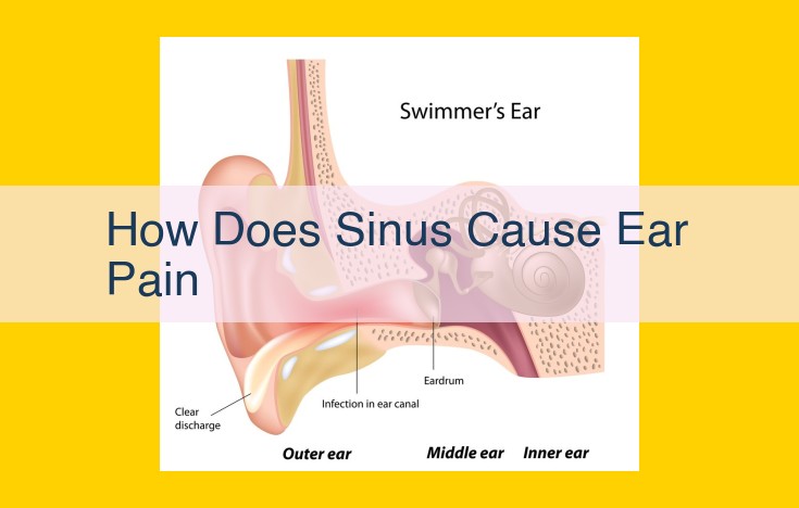 Ear Pain Associated with Sinus Infections: Understanding the Connection