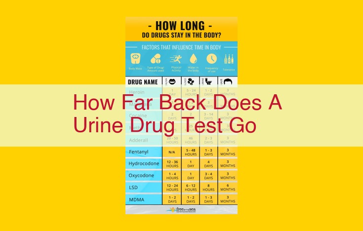 Who Determines the Detection Window of Urine Drug Tests: A Comprehensive Guide