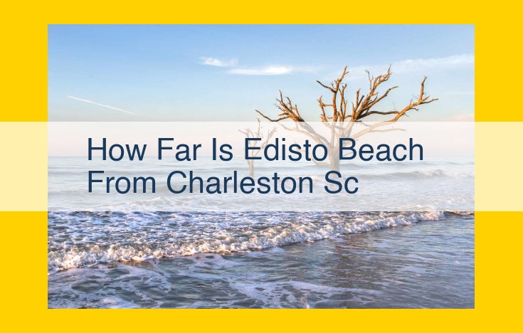 Discover Edisto Beach: Pristine Nature, Rich History, and Coastal Charm