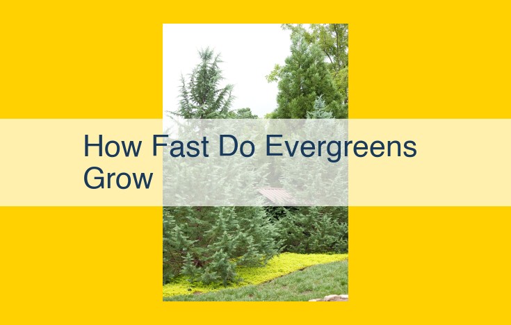 Environmental and Cultural Factors Impacting Plant Health and Growth: Unlocking Evergreen Growth Rates