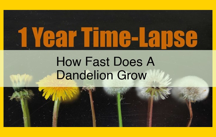 Understanding Dandelion Growth: Factors, Physiology, and Management