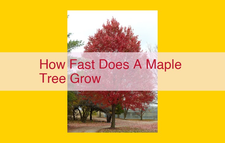 Understanding Maple Tree Growth Rates: Factors and Optimization Tips