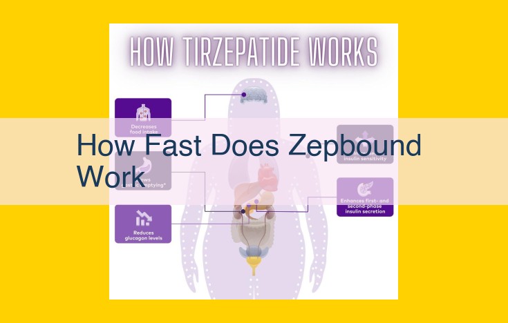 Unlock Blazing Data Processing with ZepBound: Unveil Real-Time Insights with Lightning Speed