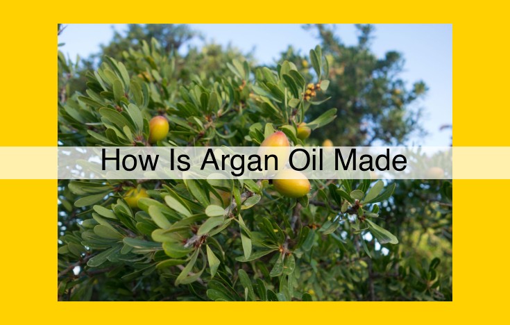 Argan Oil: A Treasure from Morocco's Southwestern Slopes