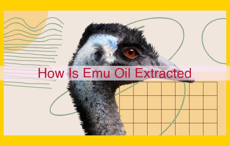 Emu Oil: Extraction, Applications, and Industry Insights for SEO