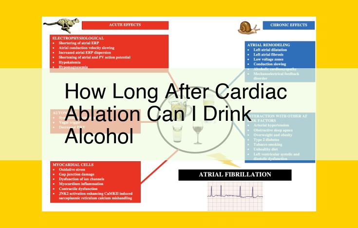 Cardiac Ablation: Essential Post-Procedure Guidelines for Alcohol Consumption