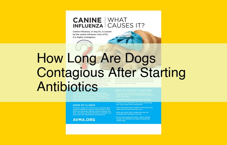 Timeframe for Contagiousness in Dogs After Antibiotics: Expert Insight