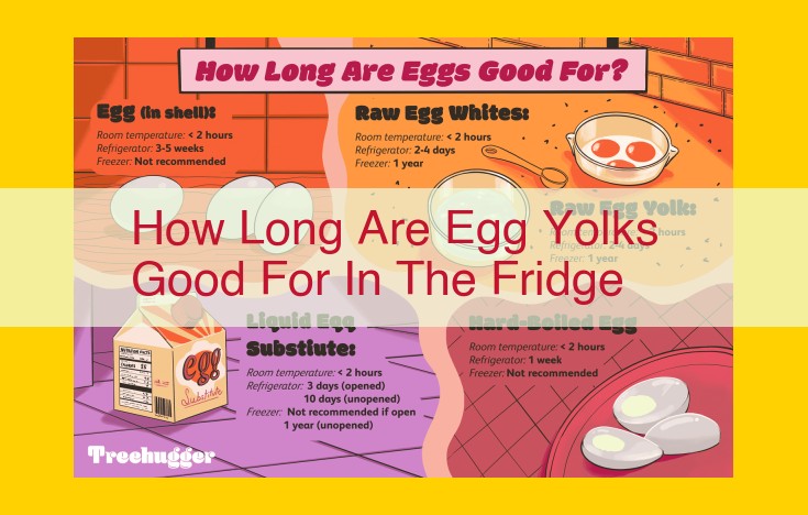 Optimized Title: Ultimate Guide to Refrigerator Storage Duration for Egg Yolks: Freshness and Preservation Tips