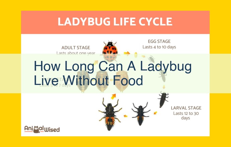 Ultimate Guide: How Long Can Ladybugs Survive Without Food?