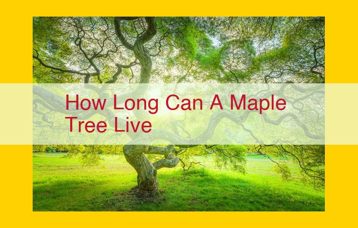 Lifespan of Maple Trees: Influential Factors and Impact on Longevity