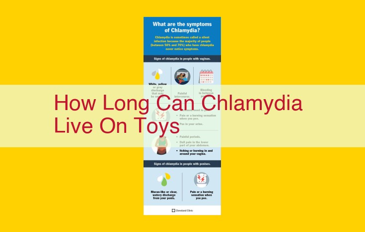 Chlamydia Survival on Toys: Facts and Prevention Tips for Safety