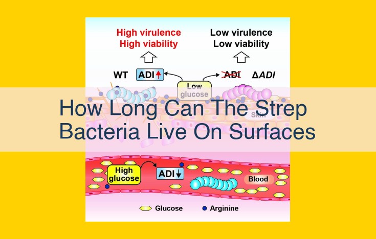 Streptococcus Pyogenes: Prolonged Surface Survival and Transmission Risks in Healthcare Settings