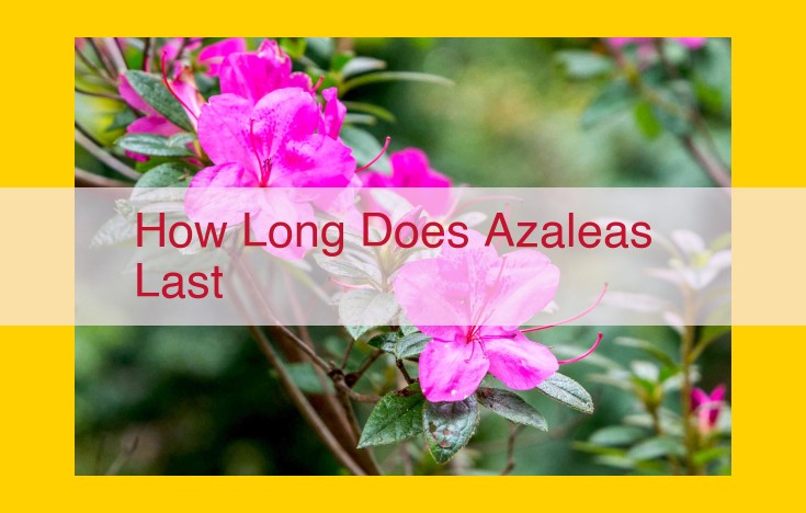 Comprehensive Guide to Azaleas: Lifespan, Care, and Enhancing Their Beauty