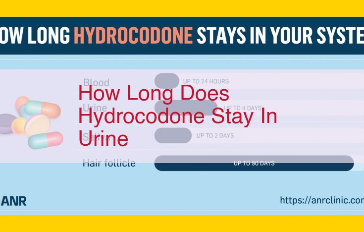 Hydrocodone Detection in Urine: Duration, Factors, and Implications