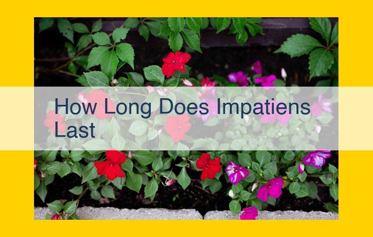 Top Factors Influencing Plant Growth: Maximizing Health and Longevity