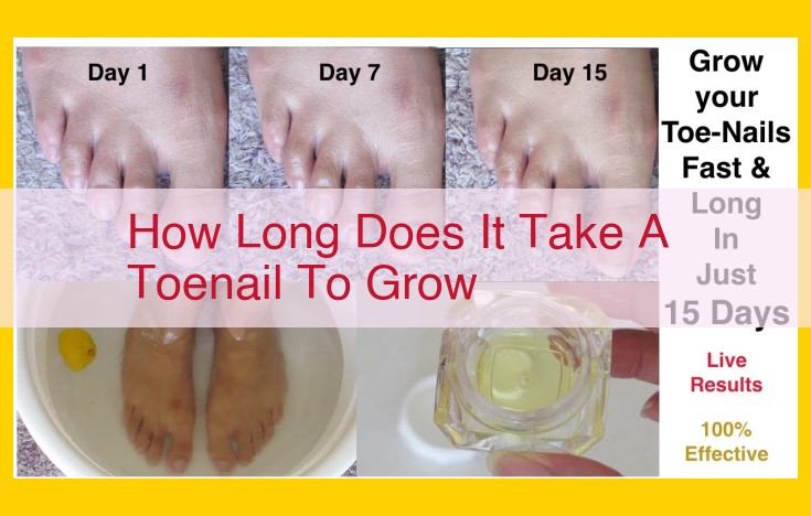 Toenail Growth: Understanding the Process and Timeline