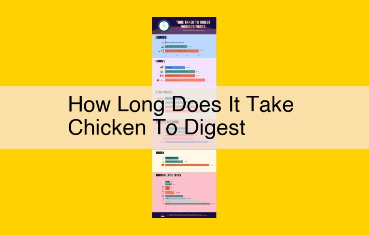 Understanding Chicken Digestion Time: Factors and Timeline for Optimal Nutrient Absorption