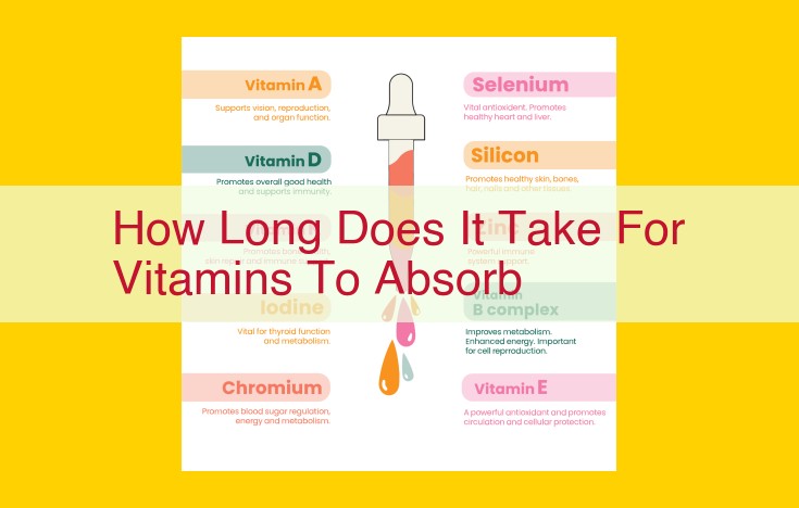 Optimize Absorption Time for Vitamins: Understanding the Factors