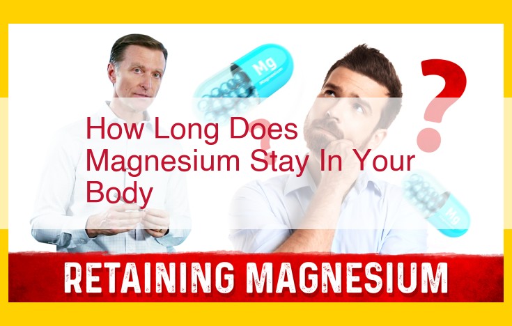 Magnesium: Essential Mineral for Body Functions, Storage, and Excretion