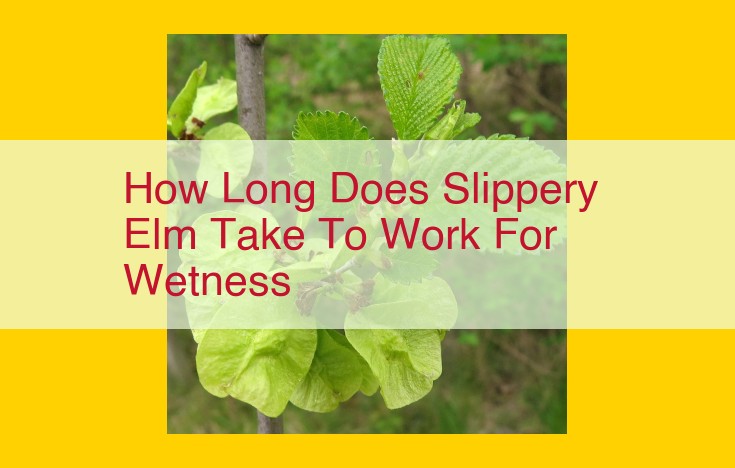 How Long Does Slippery Elm Take to Work for Wetness?