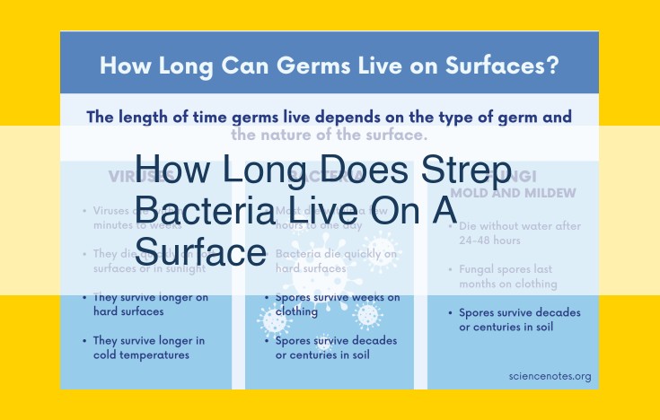 Survival Time of Strep Bacteria on Surfaces: Crucial Information for Infection Prevention