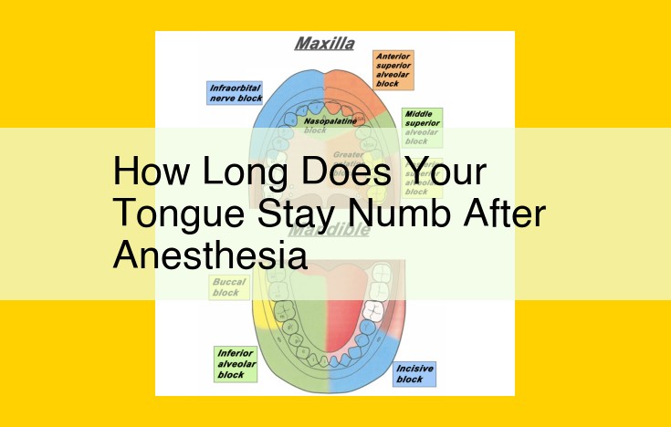 How Long Does Tongue Numbness Last After Dental Anesthesia? Factors and Recovery