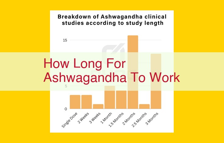 How Long Does Ashwagandha Take to Work? A Comprehensive Guide to the Timeline of Its Effects