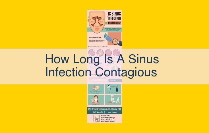 Contagious Sinus Infections: Transmission, Duration, and Risk Factors