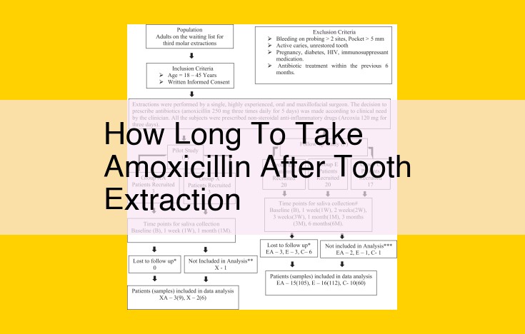 Recommended Duration of Amoxicillin After Tooth Extraction: Essential Guide