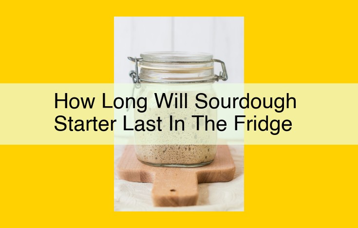 Ultimate Guide to Preserving Your Sourdough Starter: Longevity in the Fridge