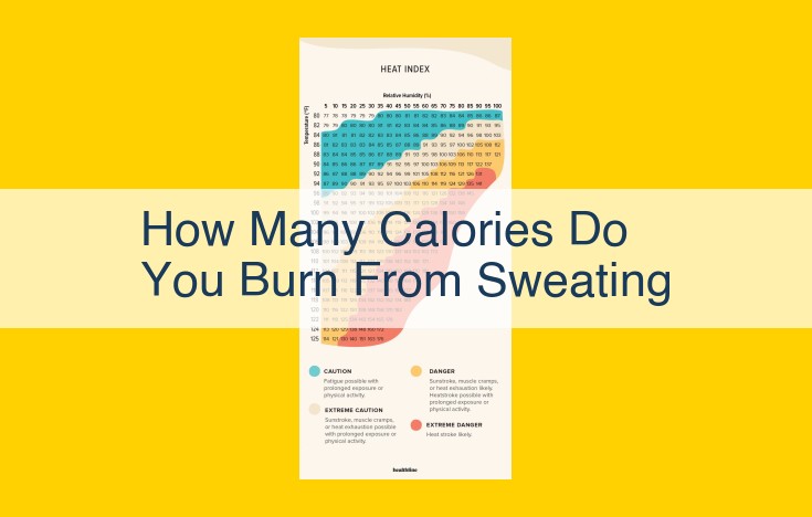 Understanding Sweating: How It Cools the Body and Impacts Calorie Burn