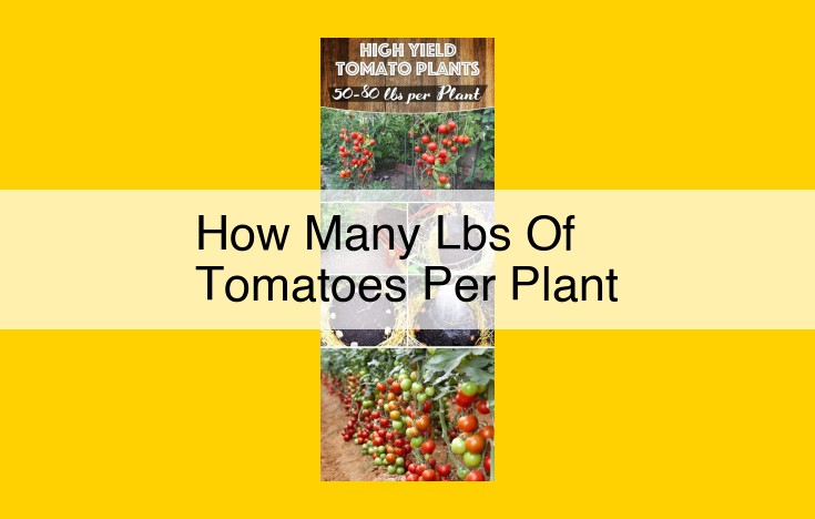 How to Maximize Tomato Yield: Unlocking Bumper Harvests